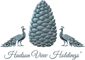 Hudson View Holdings